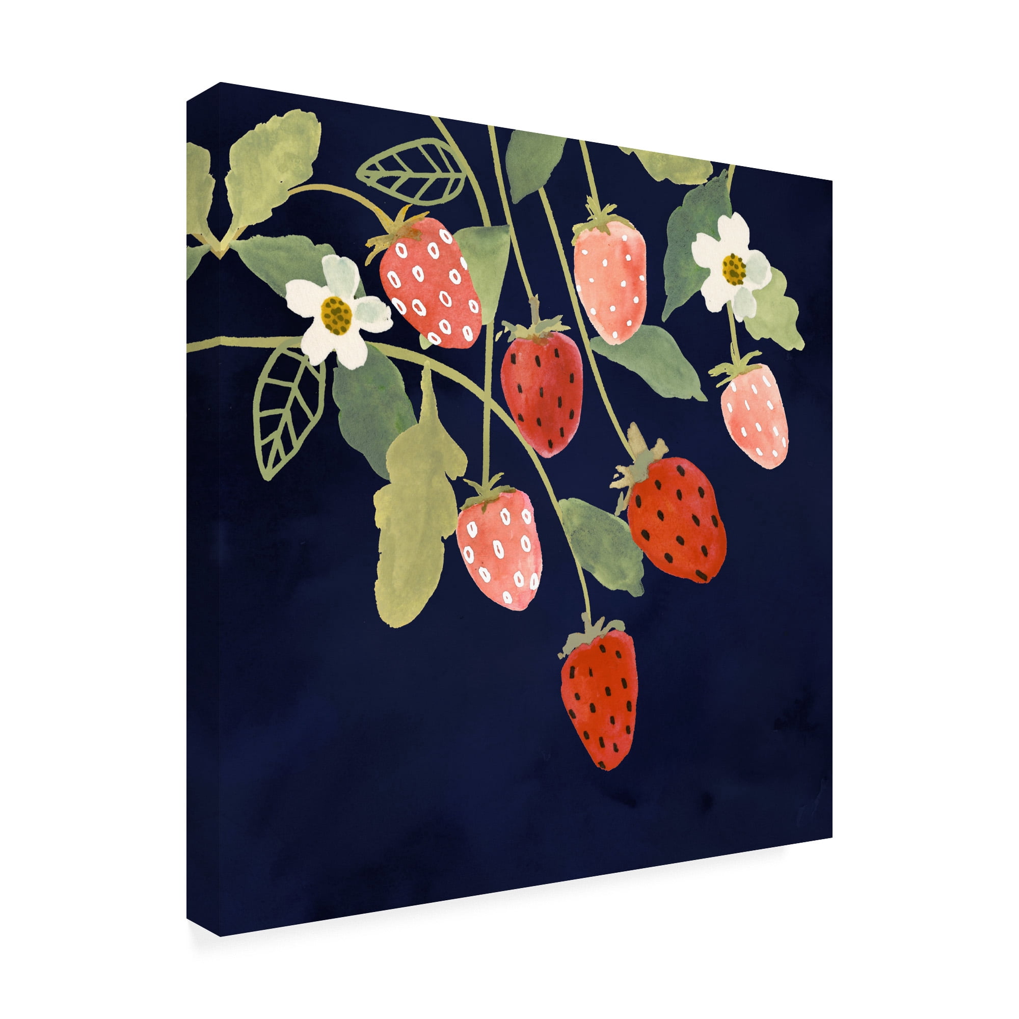 Trademark Fine Art 'Fresh Fruit I' Canvas Art by Victoria Borges