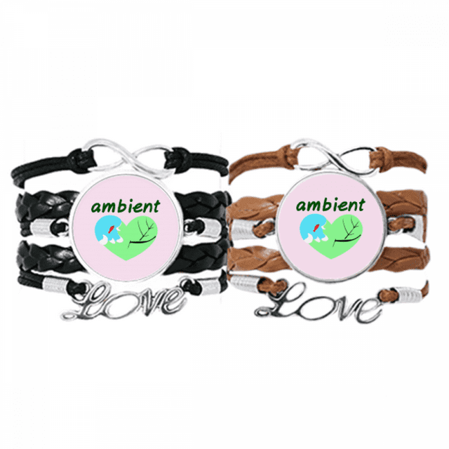 Bracelet de Protection Environnementale Love, Bracelet en Corde de Cuir, Double Ensemble