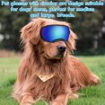 thumbnail image 4 of Gafas de sol para perros, protección UV/viento/polvo/niebla, gafas para mascotas con correa ajustable para perros medianos o grandes (paquete de 1), 4 of 5