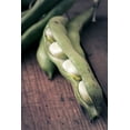 thumbnail image 5 of Organic Cannellini Beans, 3 Pounds — Non-GMO, Sproutable, Kosher, Raw, Vegan — by Food to Live, 5 of 7