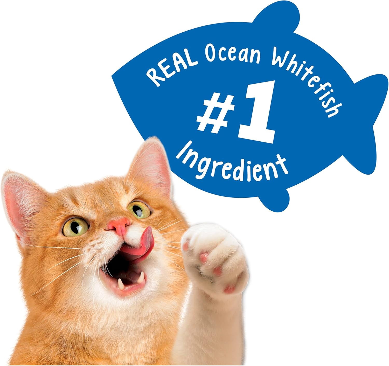 Purina Friskies Party Mix Cat Treats, Beachside Crunch with Ocean Whitefish & Flavors of Shrimp, Crab & Tuna, Cat Treats for Adult Cats, 20 OZ Canister (Pack of 2)