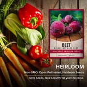 Detroit Dark Red Beet Seeds