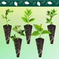 thumbnail image 4 of Hongchun Flower Growing Sheep Seed Pods Seed Starter Sponge Pods Compatible with Germination Growing Sponge Seeds Starter Prings Hydroponic Seed Start Kit 10pcs, 4 of 5