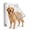 White, variant on Tolobeve Large Pet Door, Magnetic Locking Panel, Durable for Dogs & Cats Up to 155 LBS, Quiet Closure, Easy Install, 14.6"x11.4"
