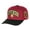 Gryffindor, variant on Harry Potter Embroidered House Crest Animal Adjustable Snapback Hat Cap - 4 Different Styles