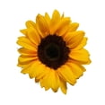 thumbnail image 3 of Bouquet de girasoles 6 tallos, 3 of 3