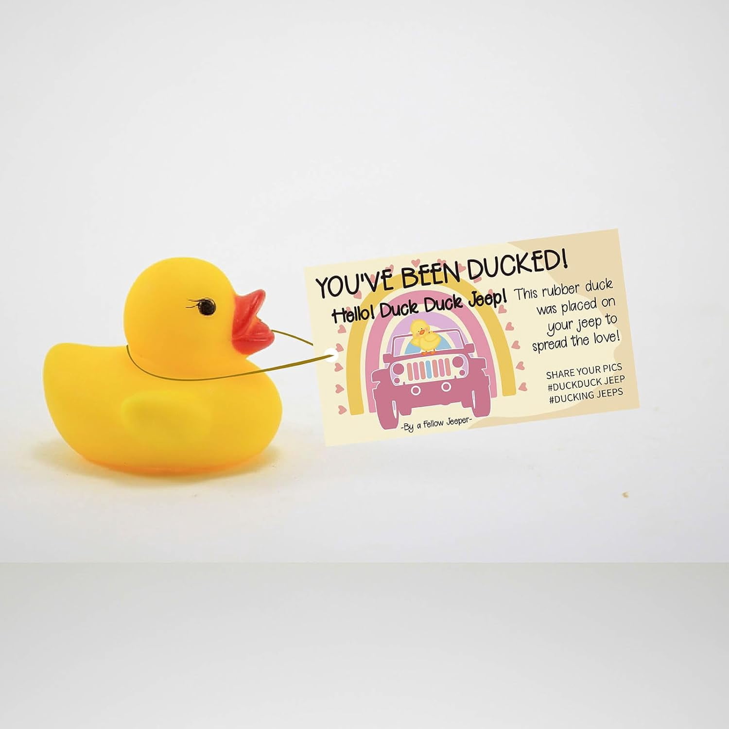 50 'You've Been Ducked' Karten Mit Gummibändern – 8,9x5,1 Cm, Regenbogen-Design