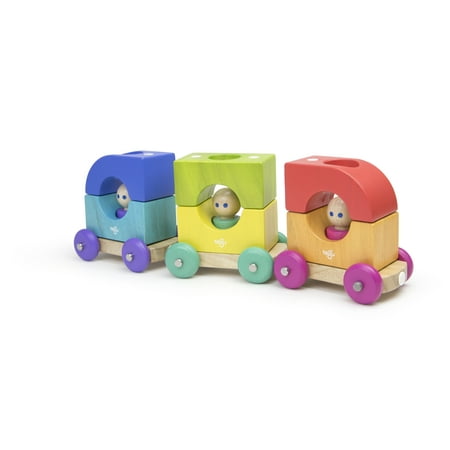 Tegu Magnetic Tram