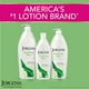 thumbnail image 4 of Jergens Soothing Aloe Refreshing Moisturizer for Unisex Moisturizer 21 oz, 4 of 4