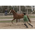thumbnail image 2 of HEARTLAND: SEASON 7, 2 of 6