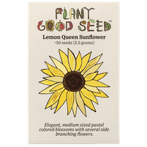 Plant Good Seed Organic Lemon Queen Sunflower Seeds for Planting: 50 Seed Packet, Heirloom, Full Sun Annual