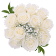 thumbnail image 3 of 3 Dozen White Roses with Baby's breath and Green- Fresh Flower Delivery, 3 of 4