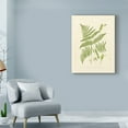 thumbnail image 3 of Trademark Fine Art Floral Canvas Art ' Ferns With Platemark I ' by Vision Studio, 3 of 4