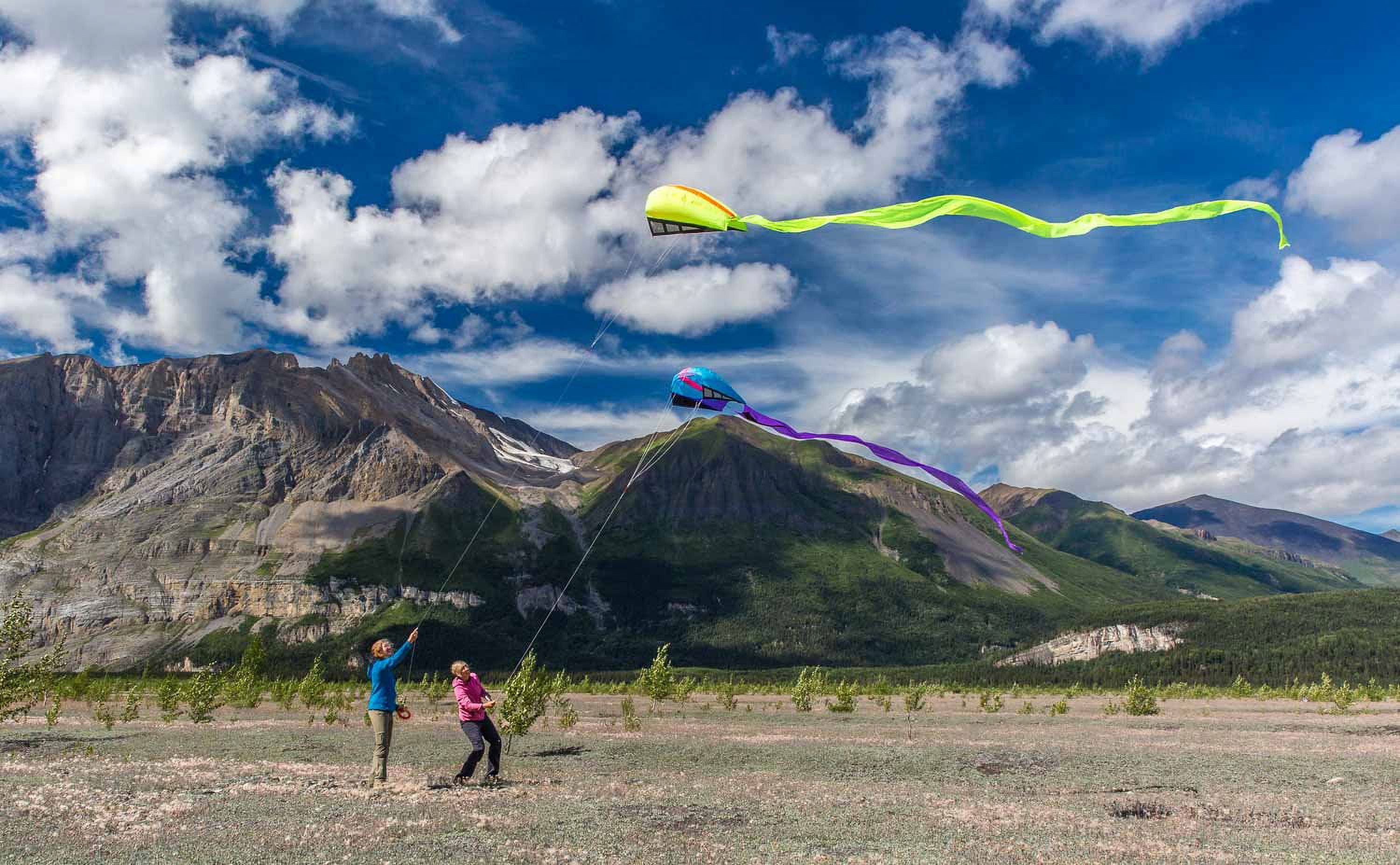 Prism Bora Single-line Parafoil Kite