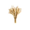 thumbnail image 2 of Dried Pampas Grass Decor Set – Faux Bunny Tails and Pampas Grass Bundle for Boho Home Table Wedding Farmhouse Party Decoration, 2 of 6
