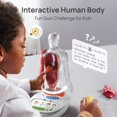 thumbnail image 3 of Modelo de anatomía: la ciencia puede hablar con el cuerpo humano, 28 cm, niños mayores de 6 años, 3 of 7