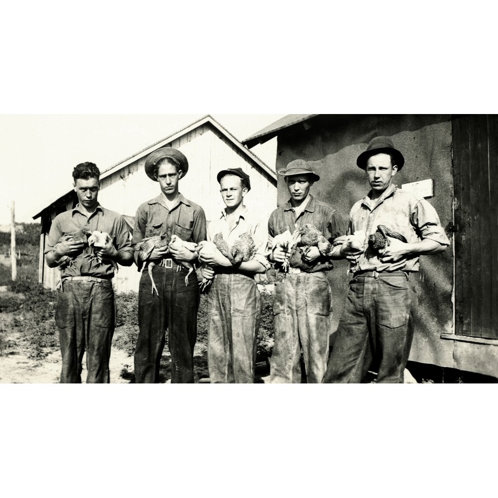 Civilian Conservation Corps In Jonesville History