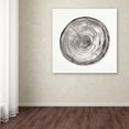 thumbnail image 4 of Trademark Fine Art 'Counting the Years V' Canvas Art by Albena Hristova, 4 of 4