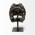 thumbnail image 5 of Mercana Lagrane Metal Replica Dinosaur Tyrannosaurus Black/Brass T-Rex Skull, 5 of 9