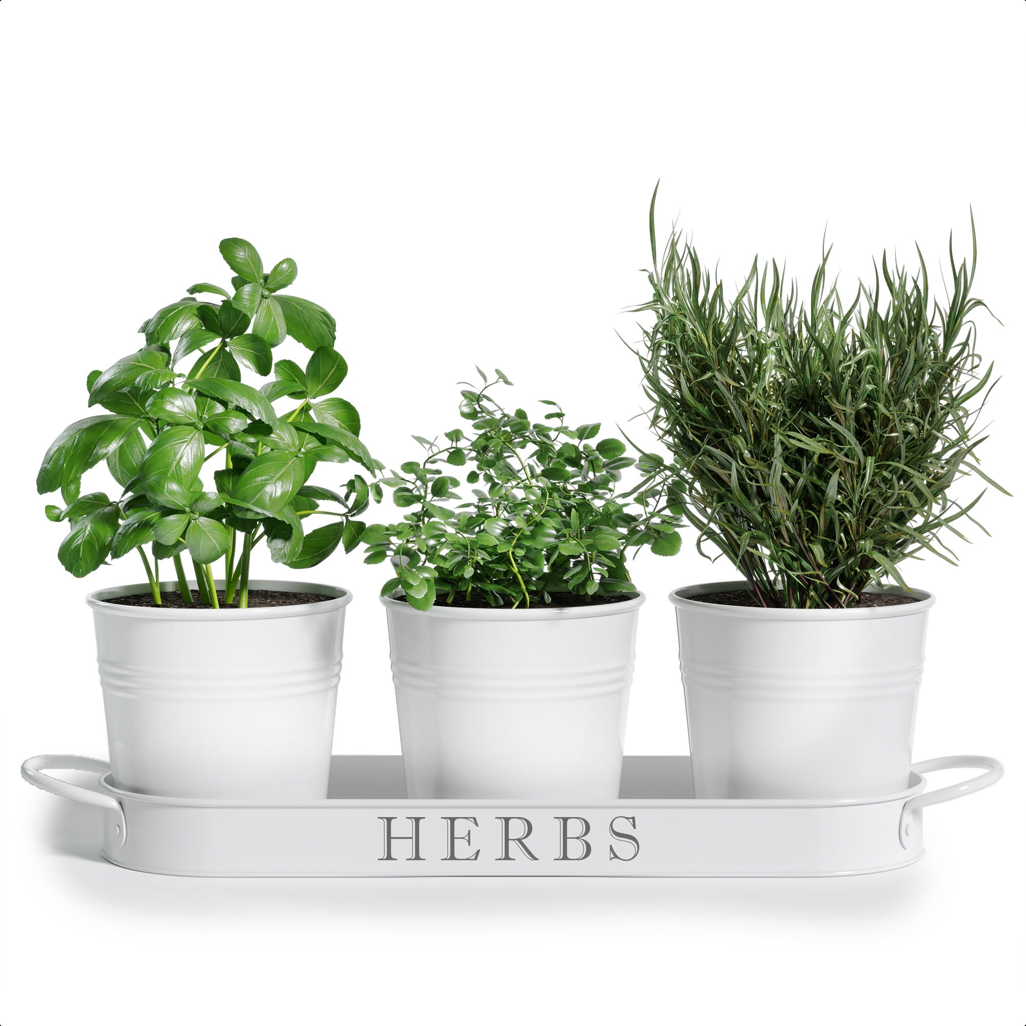 Barnyard Designs Herb Pot Planter Set With Tray For Indoor Garden Or Outdoor Use White Metal Succulent Potted Planters Kitchen Windowsill Of 3 4 25 X On 12 5 Barnyard Designs Herb Pot Planter Set, Herb Garden Planter Set