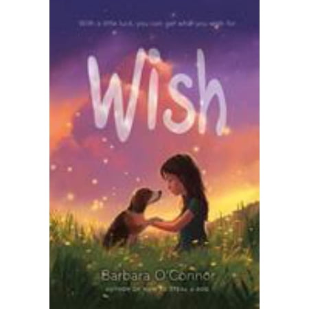 Barbara O'Connor: Wish (Paperback)