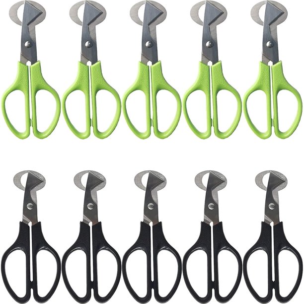 Cortador de huevos de codorniz, 10 Uds., tijeras para huevos de codorniz, herramienta de tijeras para huevos de cocina, abridor de galletas de huevos de acero inoxidable, tijera para huevos