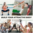 thumbnail image 7 of Progressive Resistance Bands Set (3/4/5-Pack) - Heavy Duty Workout Bands for Strength Training & Pull-Up Assistance (5-175lb) w/Guide & Bag, 7 of 7