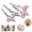Pink, variant on DISEN Pet Grooming Scissor Set for Dogs Cats Scissors Dog Grooming Beauty Tool