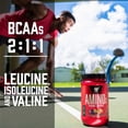 thumbnail image 5 of BSN Amino X Amino Acids + BCAA Powder, Watermelon, 30 Servings, 5 of 9