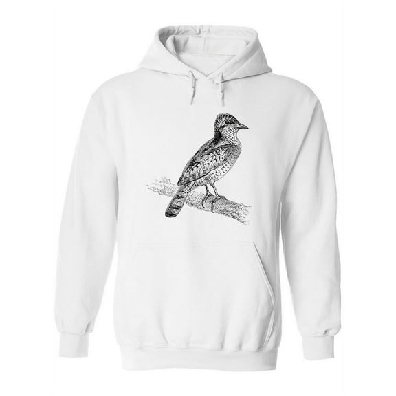 Eurasian Wryneck Drawing Hoodie Women -Image by Shutterstock, Female 3X-Large