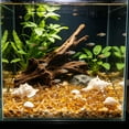 thumbnail image 6 of AuroraX Glow in the Dark Aquarium Stones Fluorescent Aquarium Decor 3cm Pebbles 50 Pieces Underwater Night Glow Luminous Shells for Aquarium Gold, 6 of 6