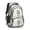 Highland Cow and-2, variant on Highland Cow and Cactus Print Backpack for School, Cute School Bag with Adjustable Shoulder Straps and Padded Back, 16.9"x12.6"x5.9"