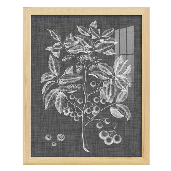 Graphic Foliage VI - Framed Print w/glass - Natural Wood