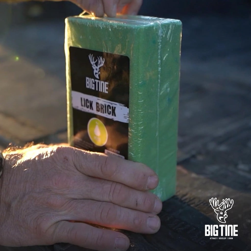 Big Tine Mineral Deer Attractant Pear Rush Lick Brick, 4 lb