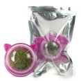 thumbnail image 1 of Irresistible Catnip Wall Ball: Promote Dental Health and Digestion in Your Feline Friend ShopWise Round, 1 of 40