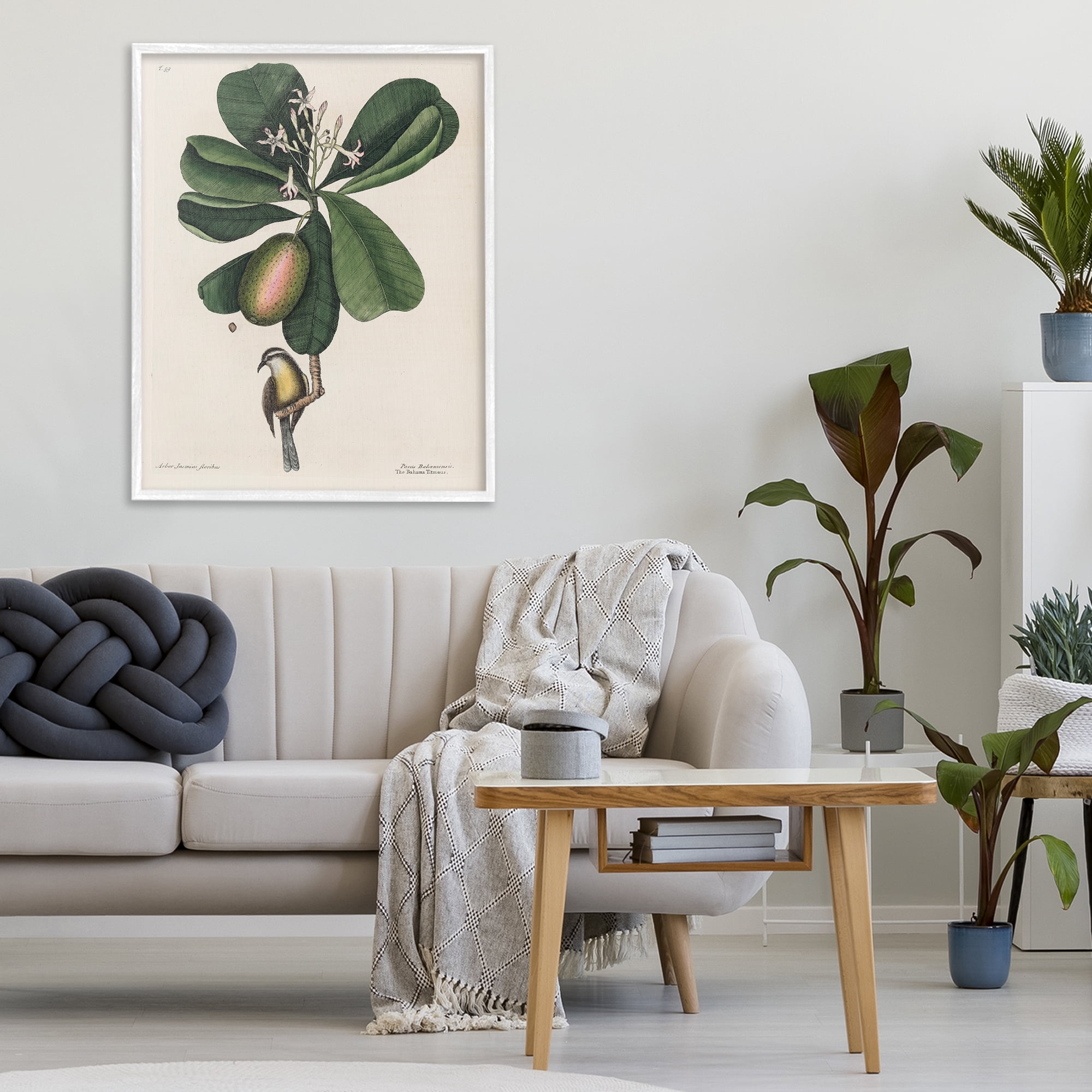 Stupell Industries Catesby Flora & Fauna White Framed Giclee Art, design by Print Collection