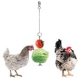 thumbnail image 4 of Veeogra Clearance items,Home Essentials,Steel Toy Feeder Stainless Food Hanging Fruit Vegetable Chicken Tools & Home Improvement,Garden Tools, 4 of 6