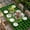 Green, variant on Botanical Flower Wreath Table Cloths for 4 Foot Rectangle Tables, Rustic Bow-Knot Green Black Plaid Patio Waterproof Elastic Fitted Tablecloths, Washable Rectangular Table Cover for Camping