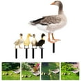 thumbnail image 5 of 2Set Lifelike Sturdy Premium Yard Duck Stake Decor for Outdoor Use, 5 of 12