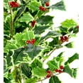 thumbnail image 2 of Artificial Holly Leaves Berries Christmas Bush, 2 of 2