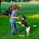 thumbnail image 5 of Luminous Top Spinning disc toy gun, divertidos juguetes voladores al aire libre para niños, 2 pistolas de juguete 6 frisbees 4 tops Zhivalor BST3000739-2, 5 of 6
