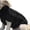 Black, variant on Dog Sweater - Warm Sweater Winter Clothes Puppy Soft Coat, Pure Color Dog Sweater for Small Medium and Large Dogs, Pet Clothing Boy Girl