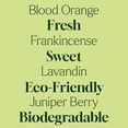 thumbnail image 4 of Plant Therapy Home Defender Blend All Natural Multi-Surface Cleaner Concentrate, Use to Clean Countertops, Stovetops, Tile, Microwave, 30 mL (2-Pack), 4 of 10