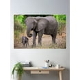 thumbnail image 2 of Elephant - Mother And Baby Poster Wall Art, Modern Wall Decor For Living Room Bedroom, 8x12 UNFRAMED, 2 of 3