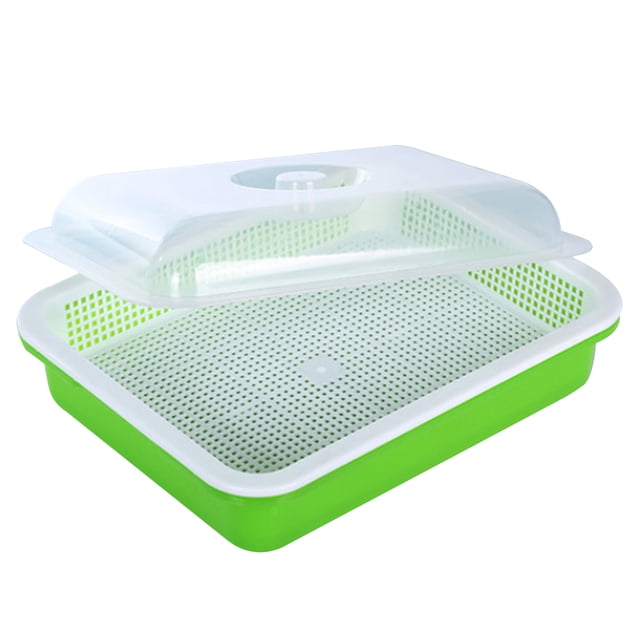 Vegetable Sprouts On Paper Seedling Tray Bean Sprouts Planting Tray With Cover Balcony Soilless Vegetable Cultivation