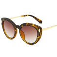 thumbnail image 5 of Lunettes de Soleil Il de Chat Classiques Unisexes Y1026, 5 of 5