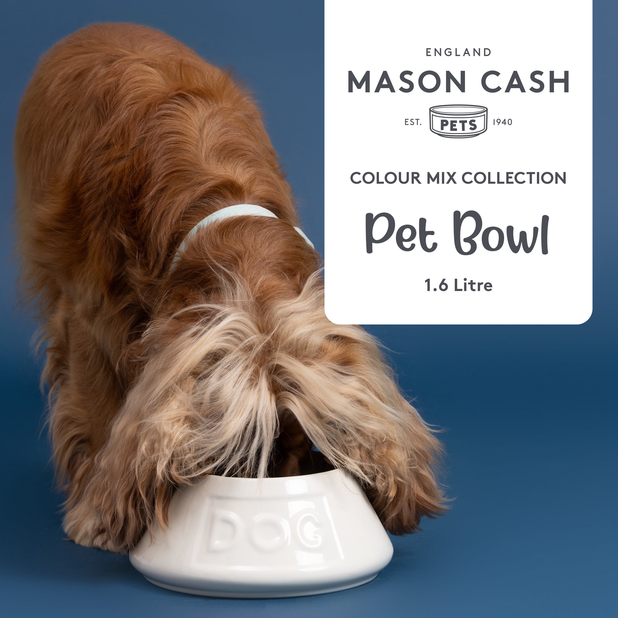 Mason Cash: Non-Tip Dog Bowl - Cream - 8.3", 54oz - Durable Ceramic Food & Water Angled Dish, Microwave-Dishwasher Safe, Pet Meal Feeding & Hydration