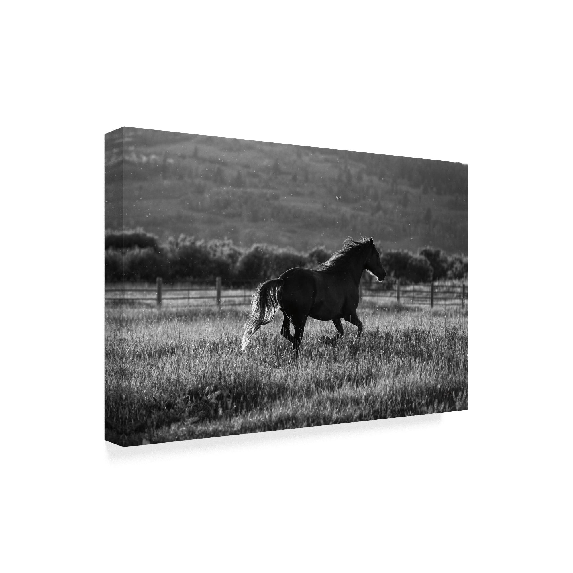 Trademark Fine Art 'Horses Going Home' Canvas Art by Aledanda