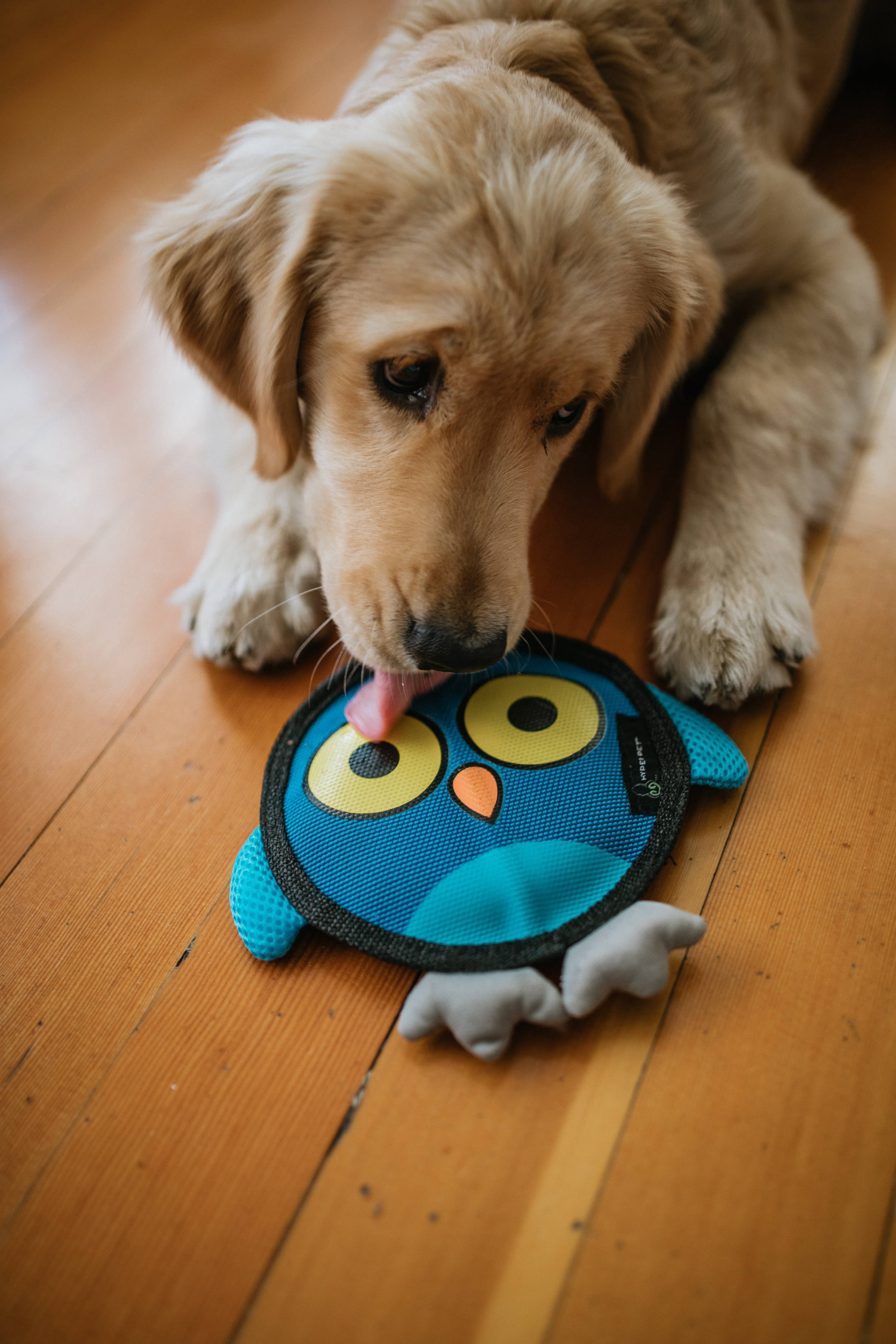 Hyper Pet Fire Hose Flyers Owl Plush Squeaky Dog Toy with Squeaker, Owl