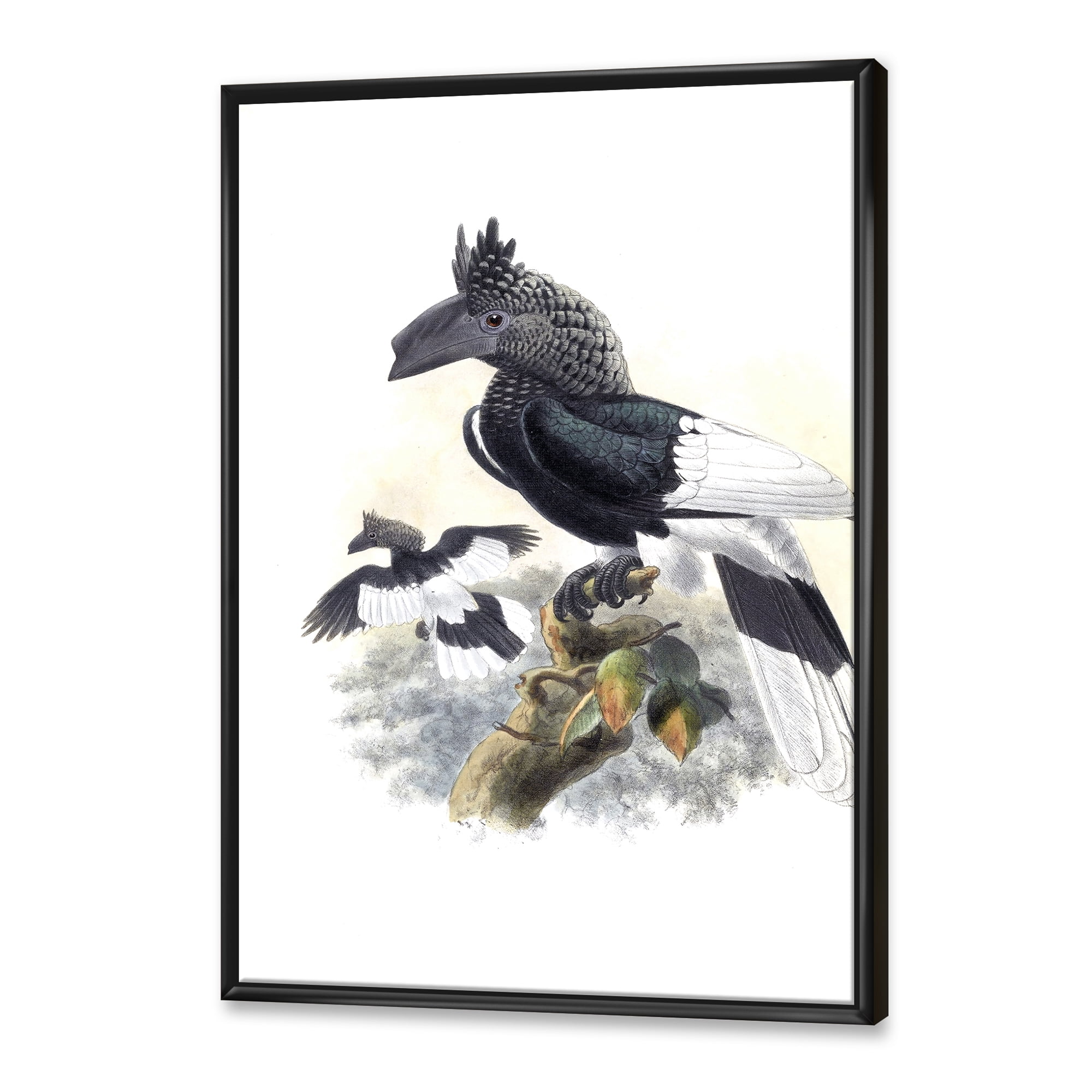 Designart 'Ancient Australian Birds XVI' Traditional Framed Canvas Wall Art Print